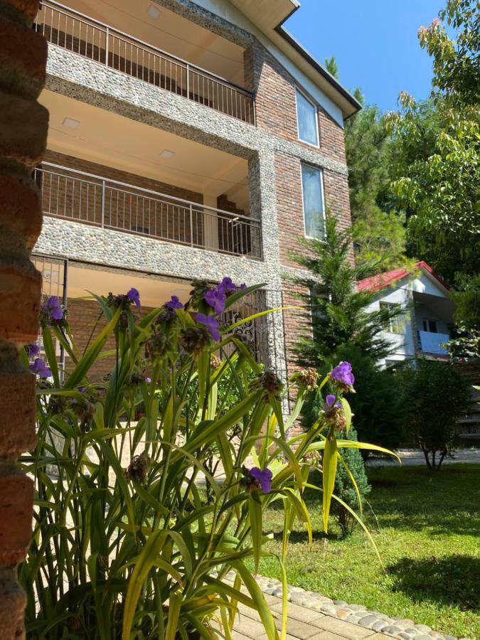Guest House Shekvetili المظهر الخارجي الصورة