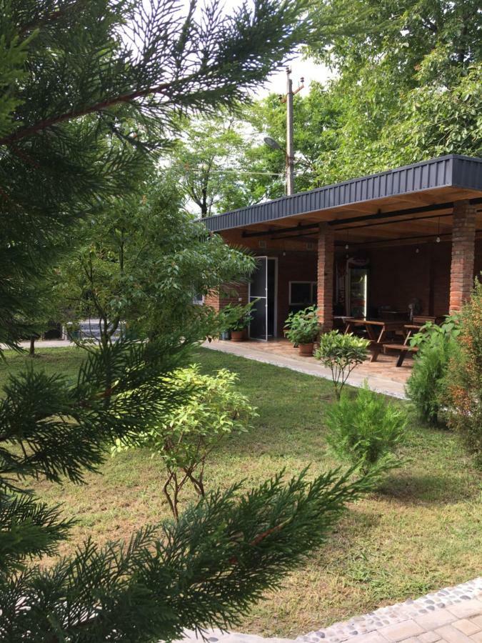 Guest House Shekvetili المظهر الخارجي الصورة