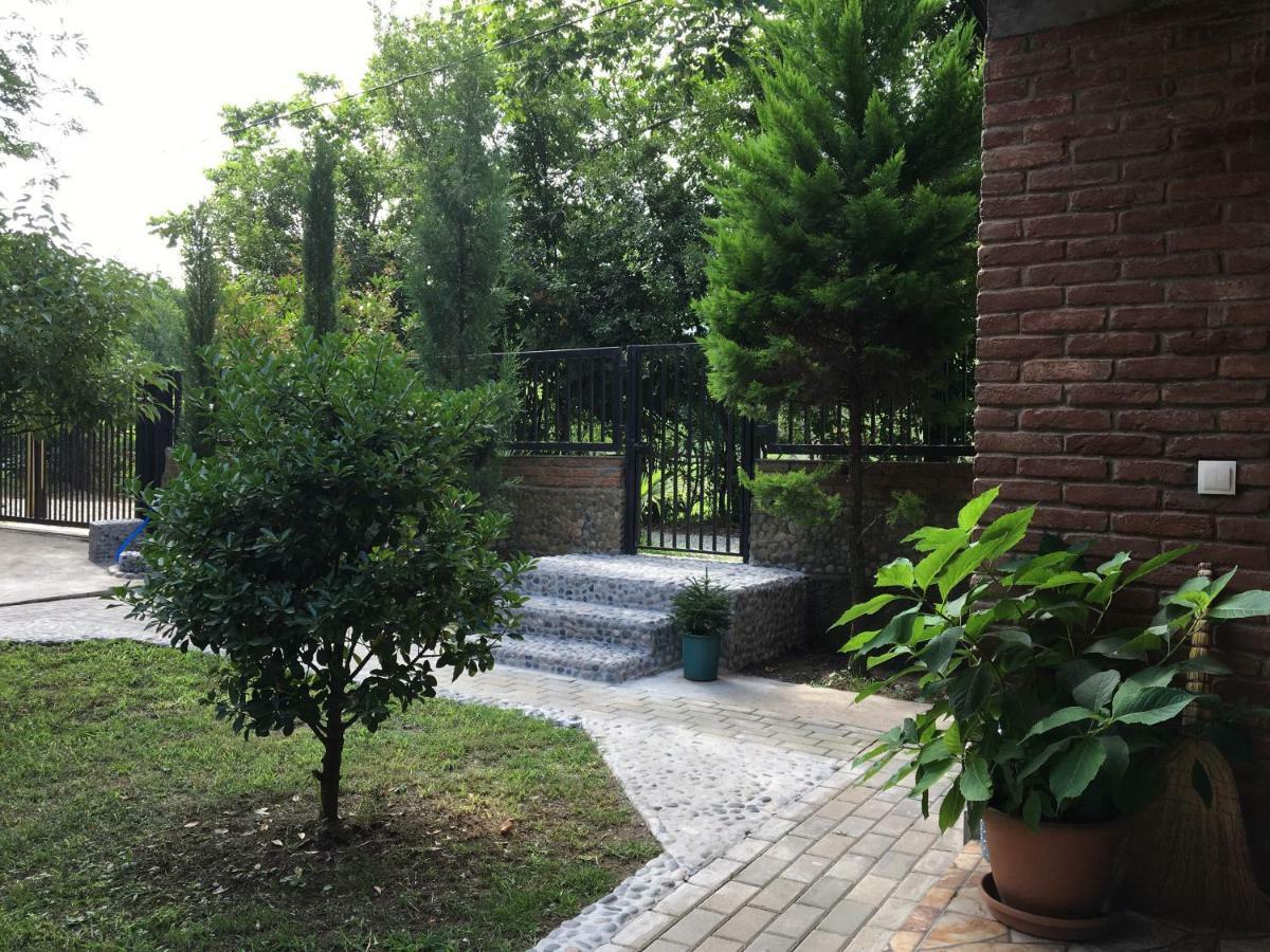 Guest House Shekvetili المظهر الخارجي الصورة