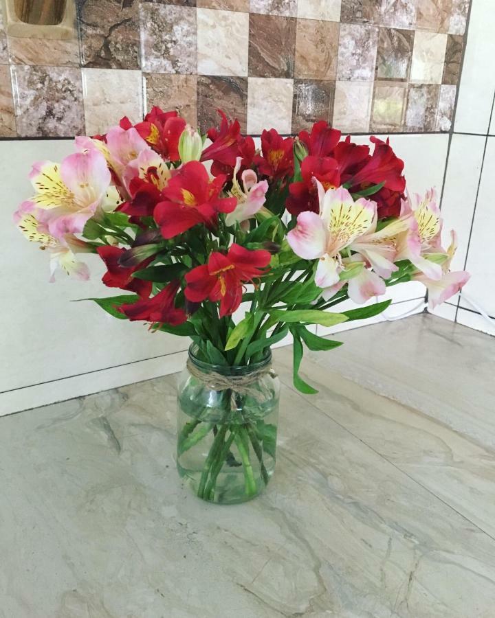 Guest House Shekvetili المظهر الخارجي الصورة